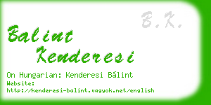balint kenderesi business card